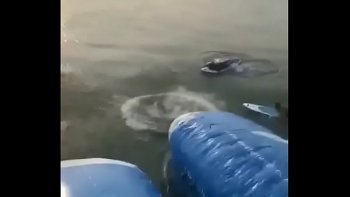 Рассказы онлайн бесплатно