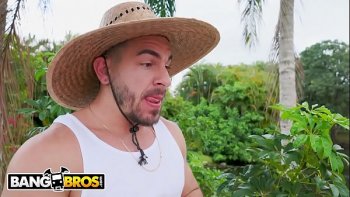 Комедии про секс смотреть онлайн подборку