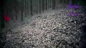 Моральную компенсацию